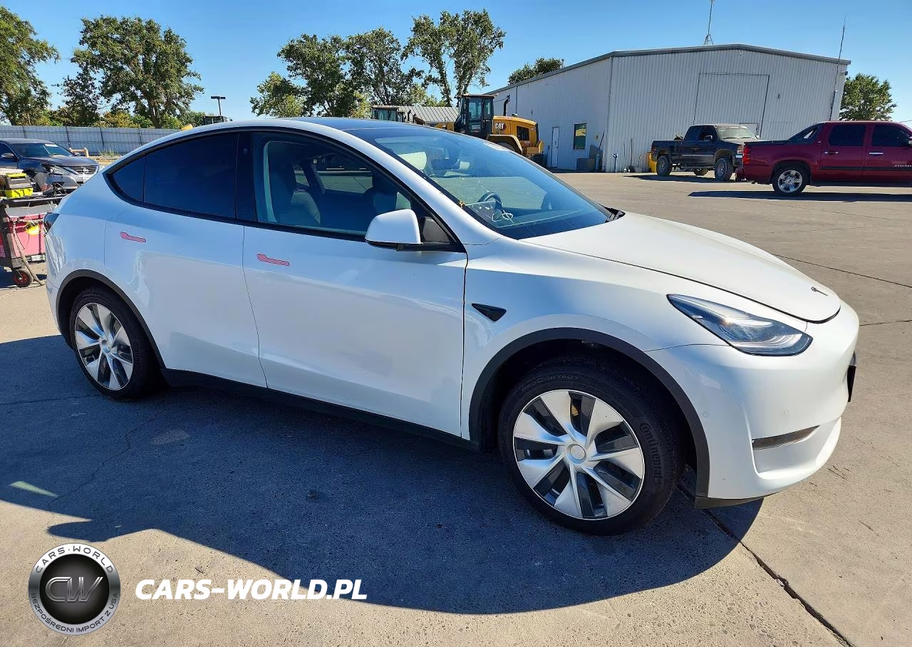2020 Tesla Model Y VIN:5YJYGDEEXLF009403 - 4