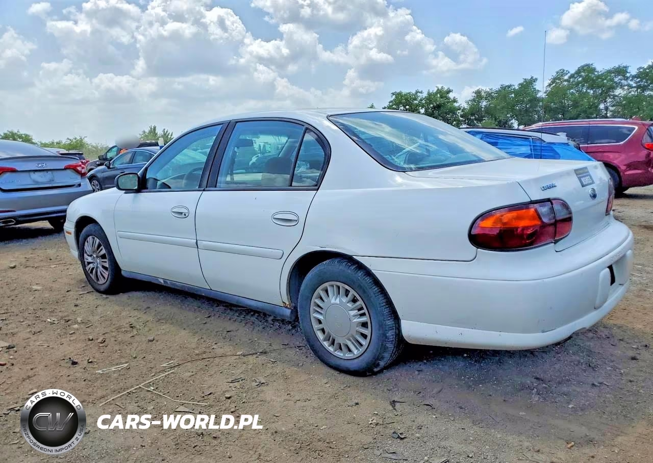 2004 Chevrolet Classic VIN:1G1ND52F84M703619 - 2