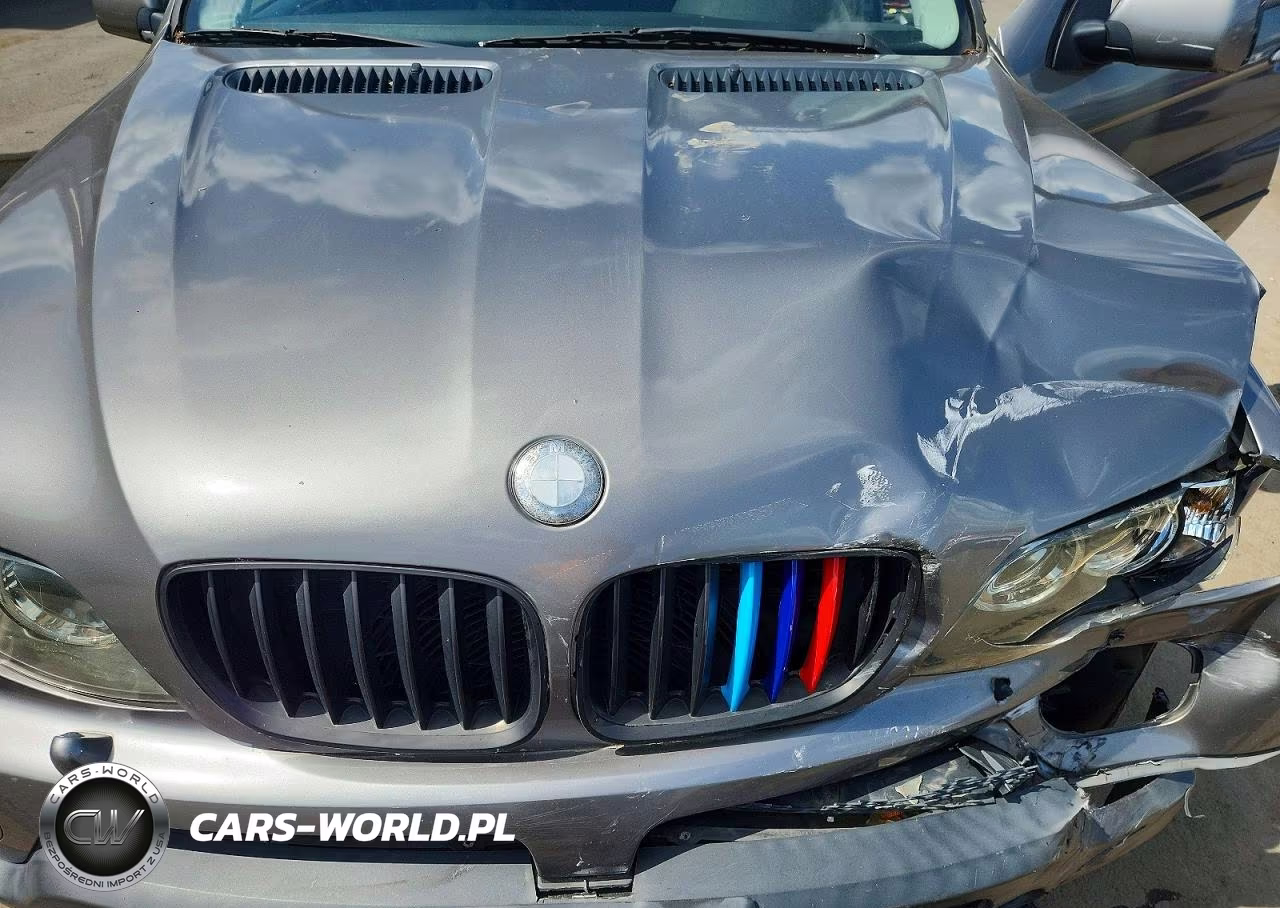 2006 BMW X5 3.0I VIN:5UXFA13586LY28050 - 12