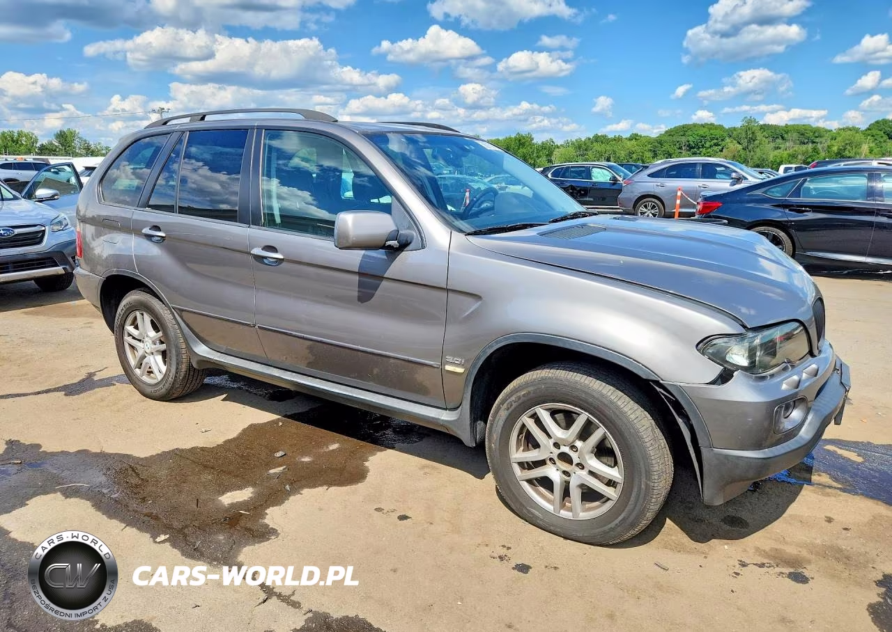2006 BMW X5 3.0I VIN:5UXFA13586LY28050 - 4