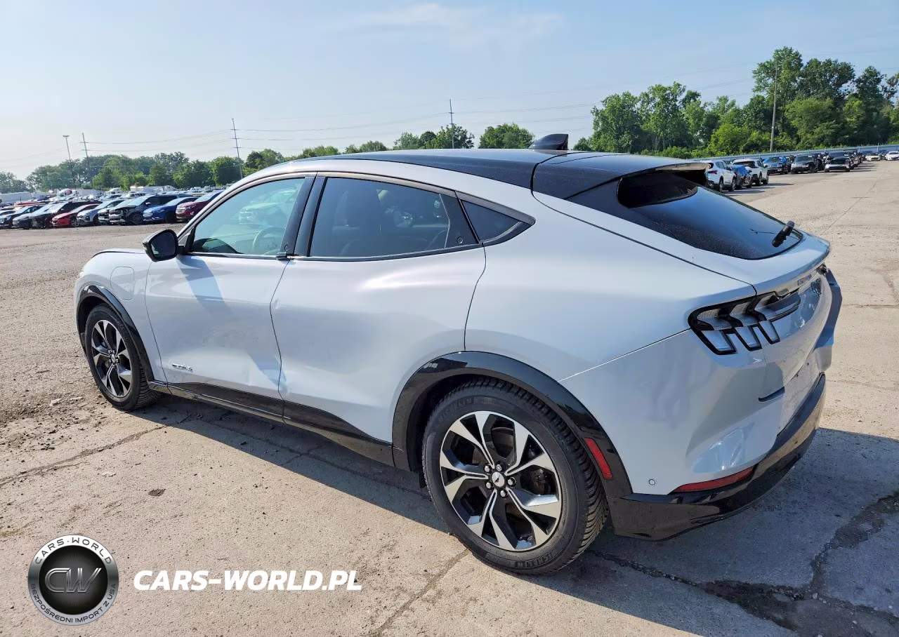 2021 Ford Mustang Mach-E Premium VIN:3FMTK3SS9MMA44195 - 2