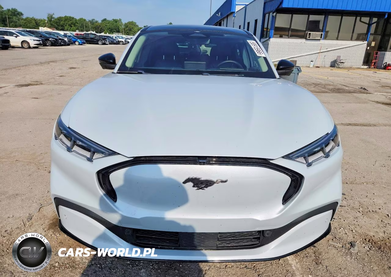 2021 Ford Mustang Mach-E Premium VIN:3FMTK3SS9MMA44195 - 5