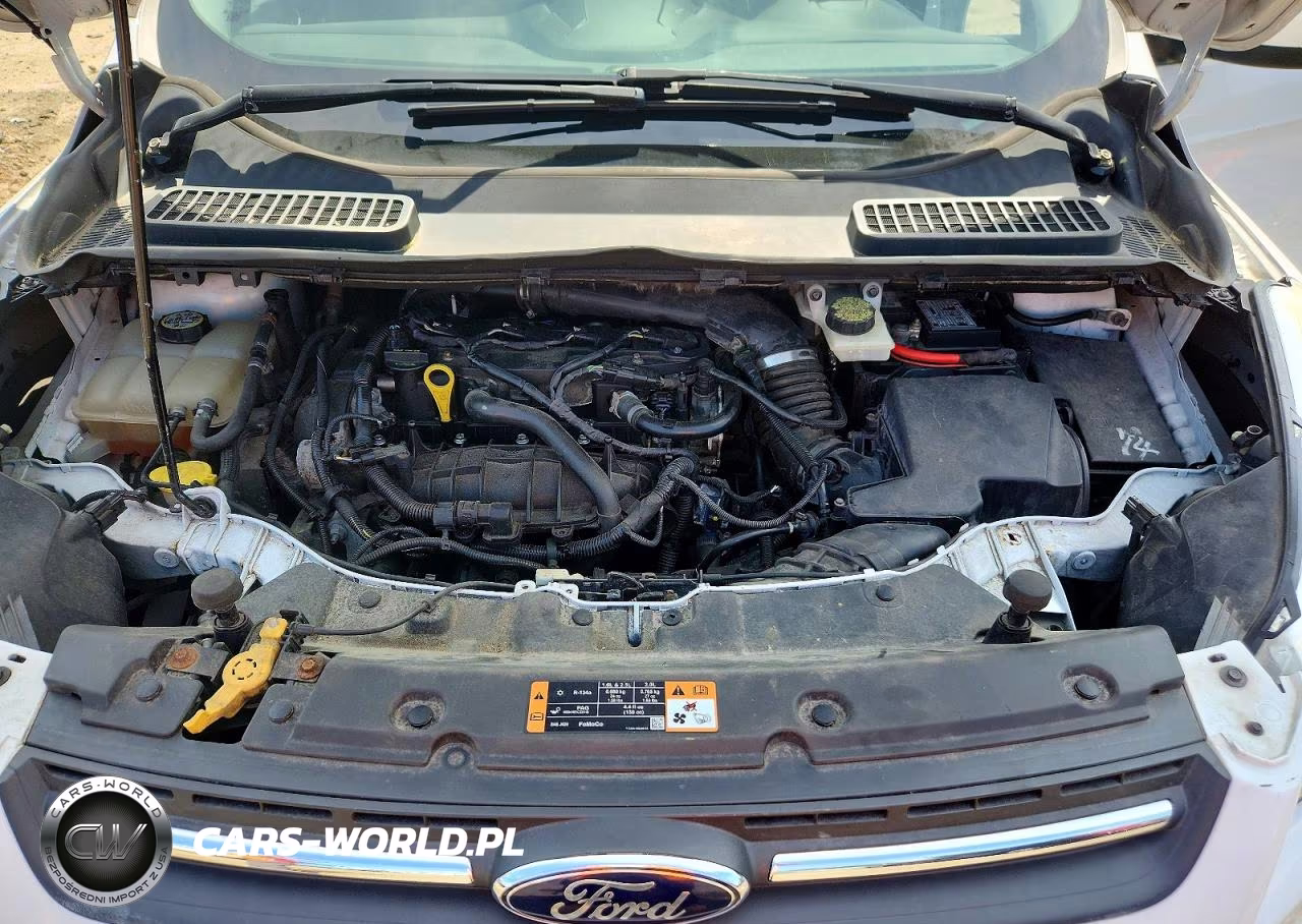 2014 Ford Escape Se VIN:1FMCU9GXXEUC38409 - 11