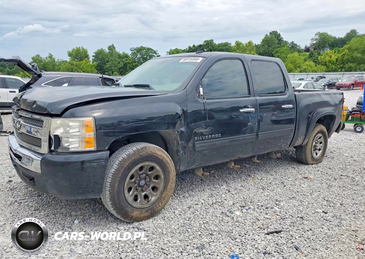 2010 Chevrolet Silverado K1500 Ls