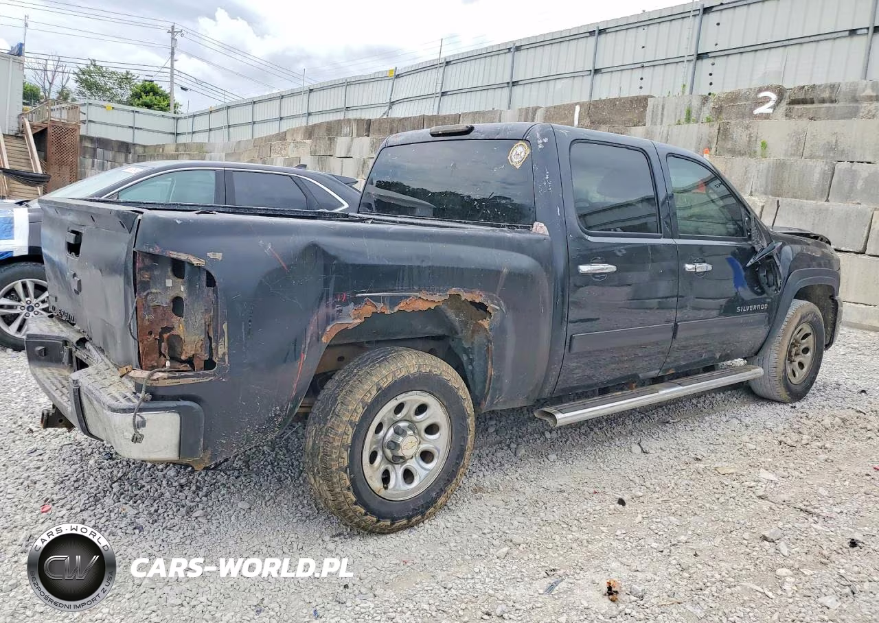 2010 Chevrolet Silverado K1500 Ls VIN:3GCRKREA6AG282102 - 3