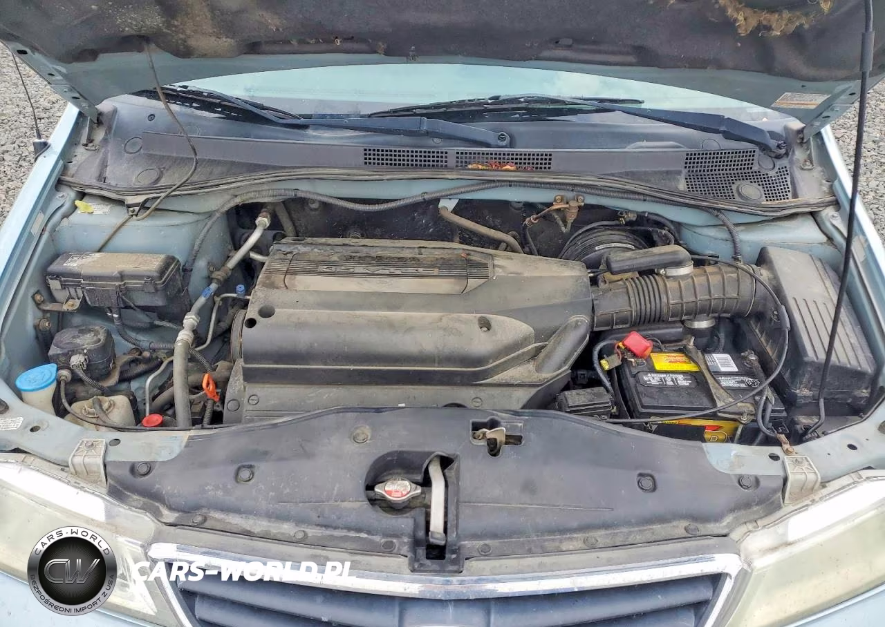 2004 Honda Odyssey Ex VIN:5FNRL18694B039898 - 12