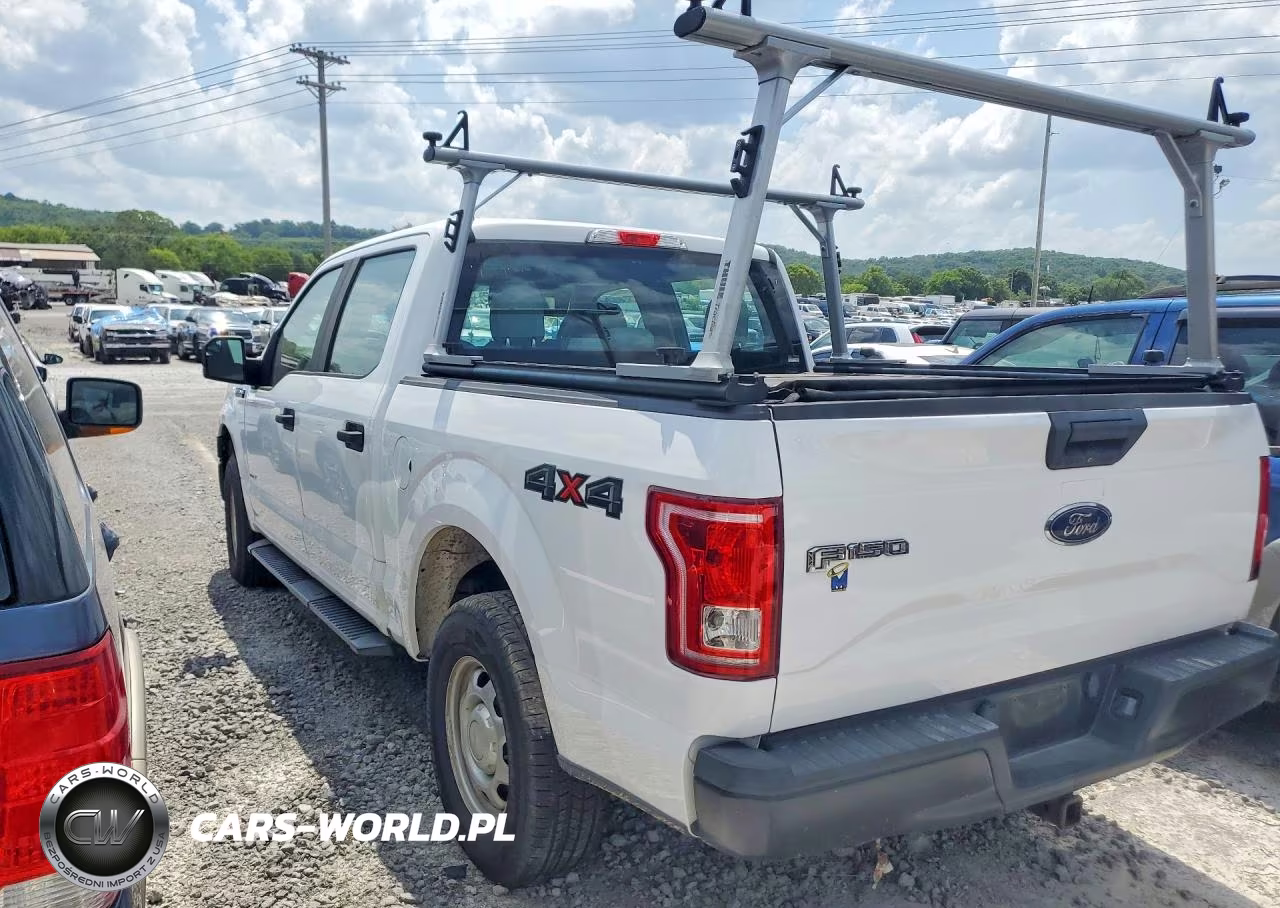 2016 Ford F150 Supercrew VIN:1FTEW1EP4GKF99581 - 2