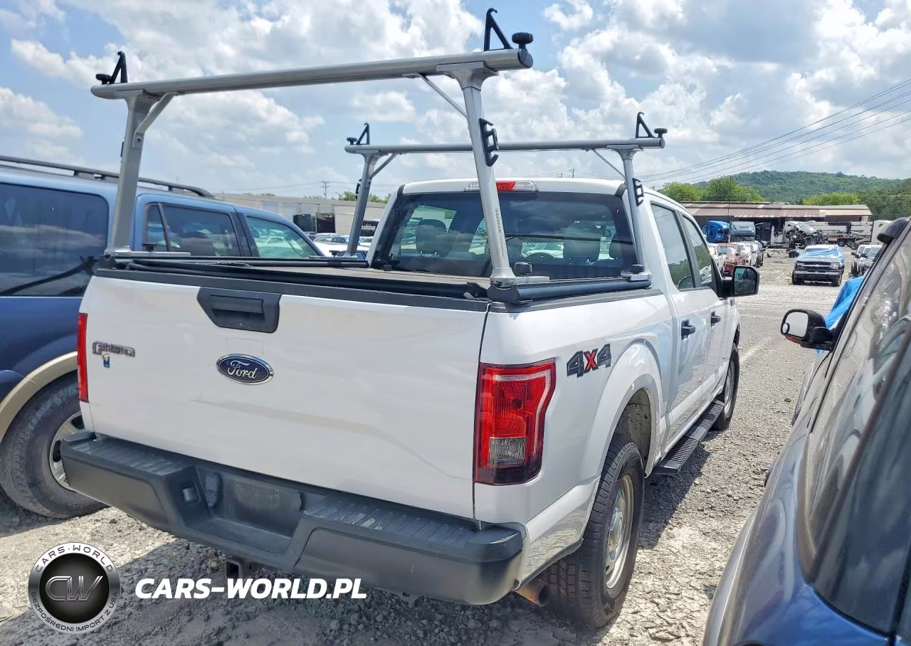 2016 Ford F150 Supercrew VIN:1FTEW1EP4GKF99581 - 3