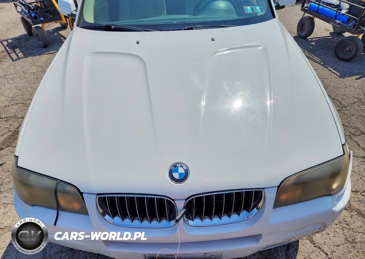 2006 BMW X3 3.0I VIN:WBXPA93416WG90769 - 12
