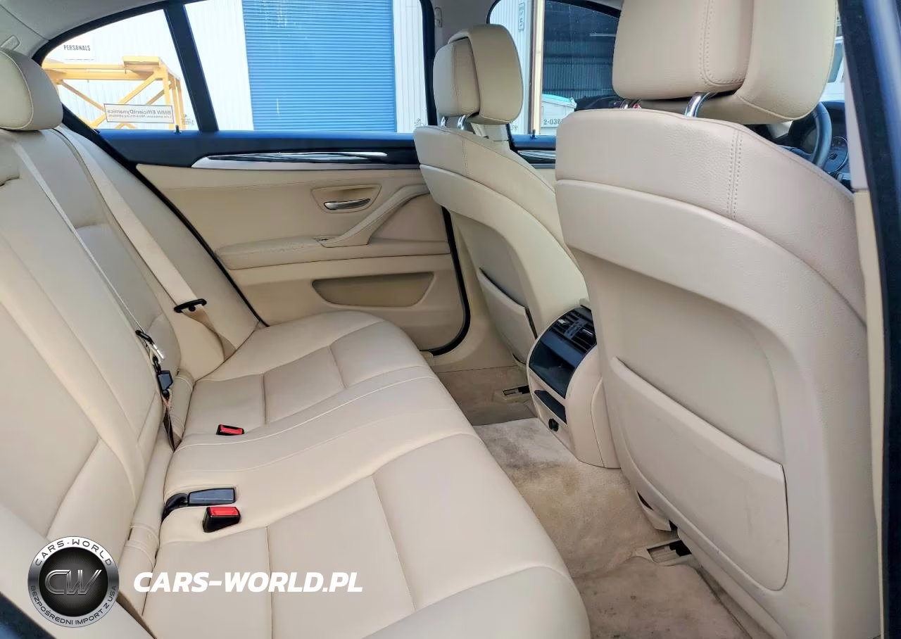 2013 BMW 528 I VIN:WBAXG5C53DD230366 - 10