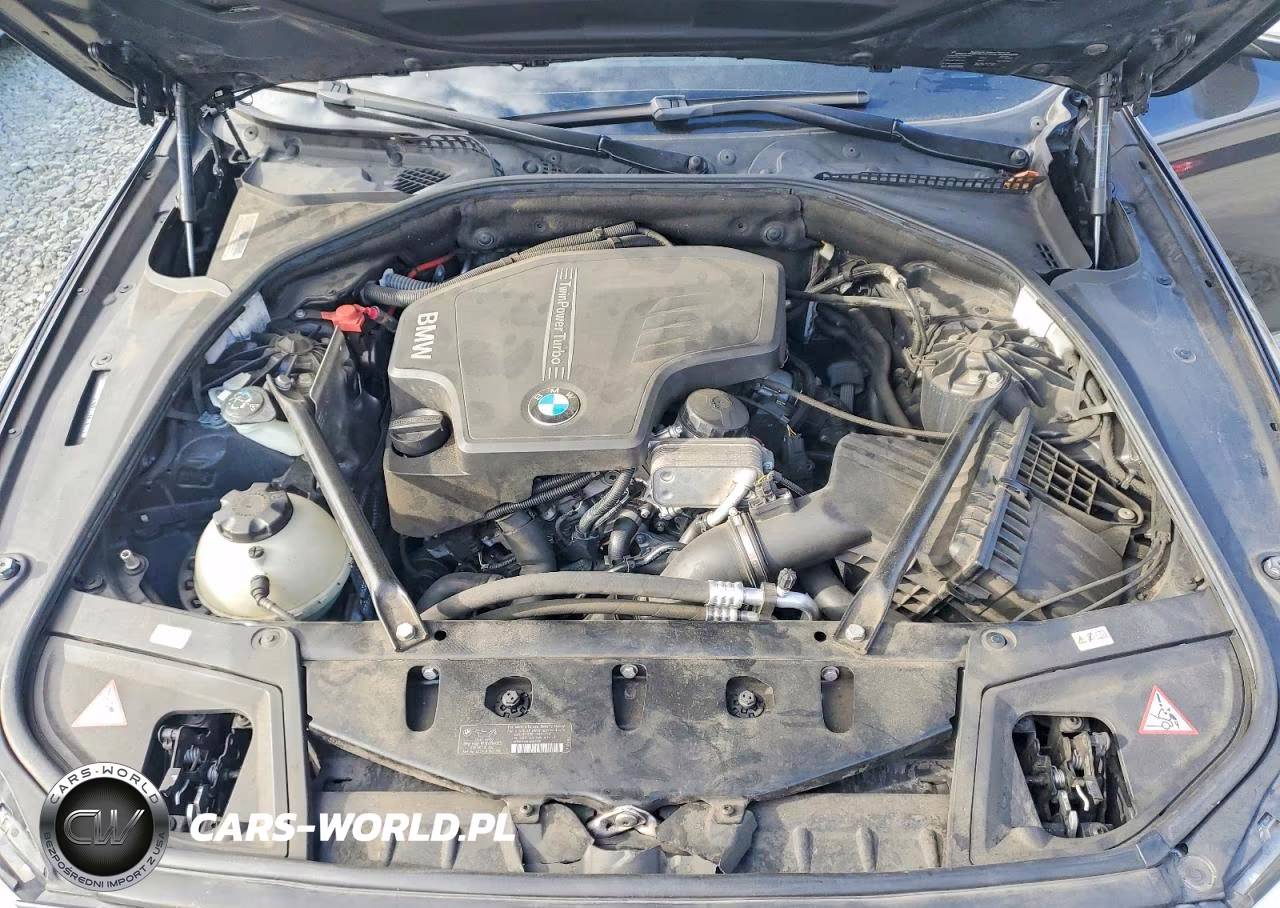 2013 BMW 528 I VIN:WBAXG5C53DD230366 - 11