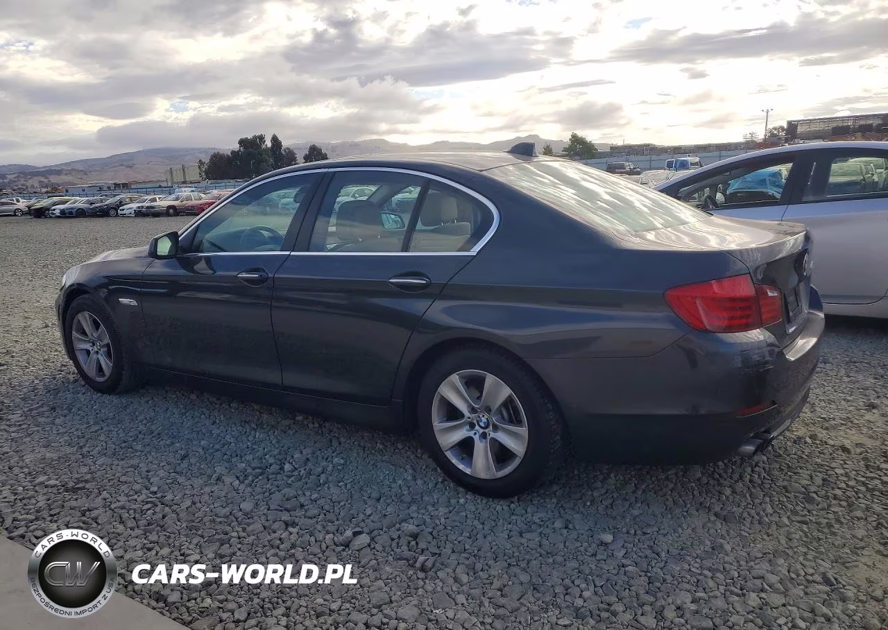 2013 BMW 528 I VIN:WBAXG5C53DD230366 - 2