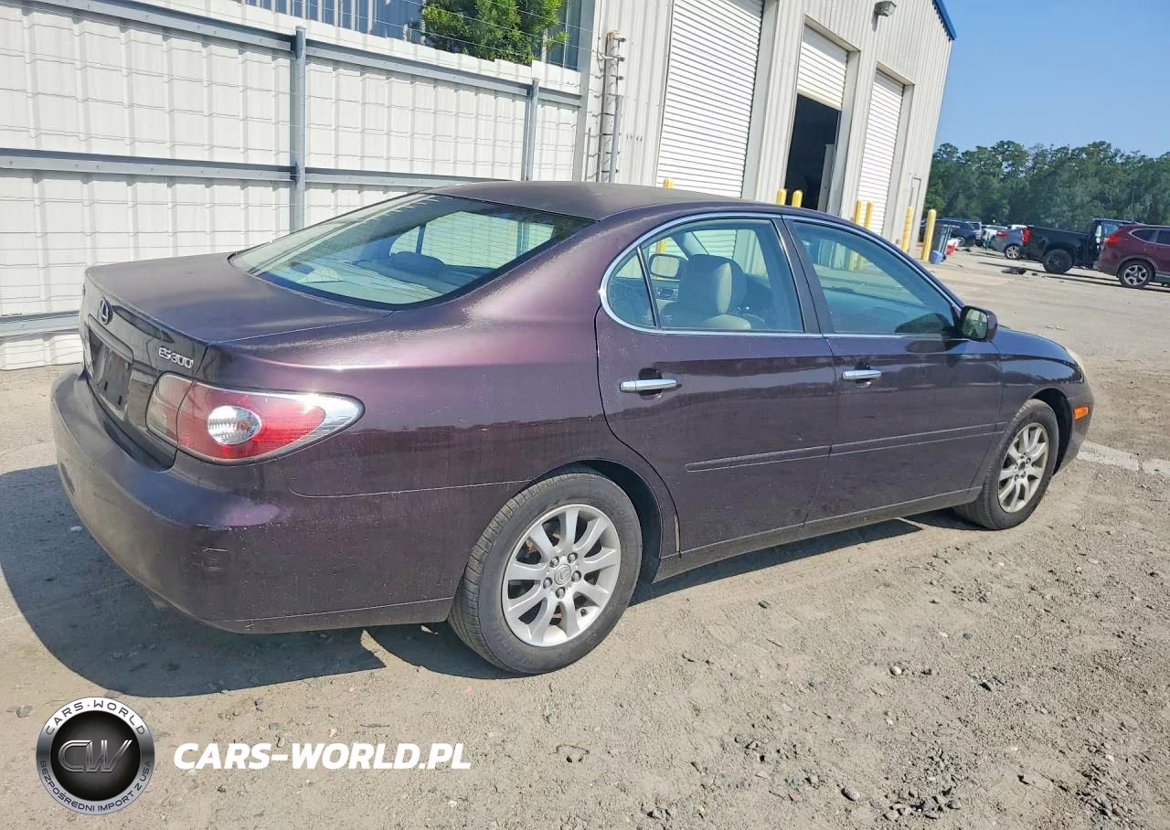 2002 Lexus Es 300 VIN:JTHBF30G425005874 - 3