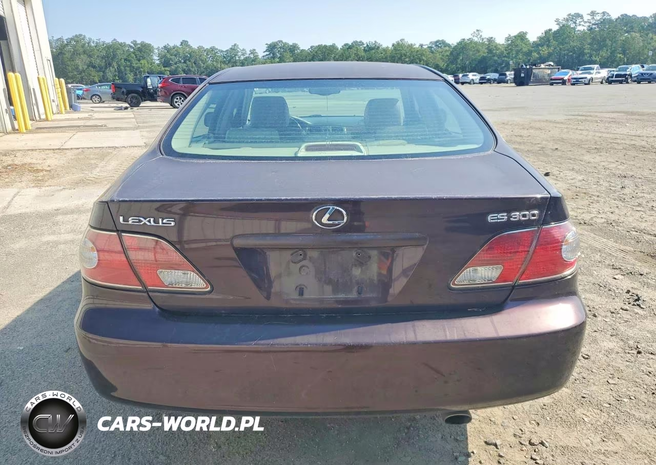 2002 Lexus Es 300 VIN:JTHBF30G425005874 - 6