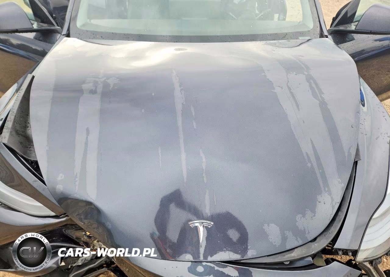 2025 Tesla Model Y VIN:7SAYGDEE4SF289580 - 11