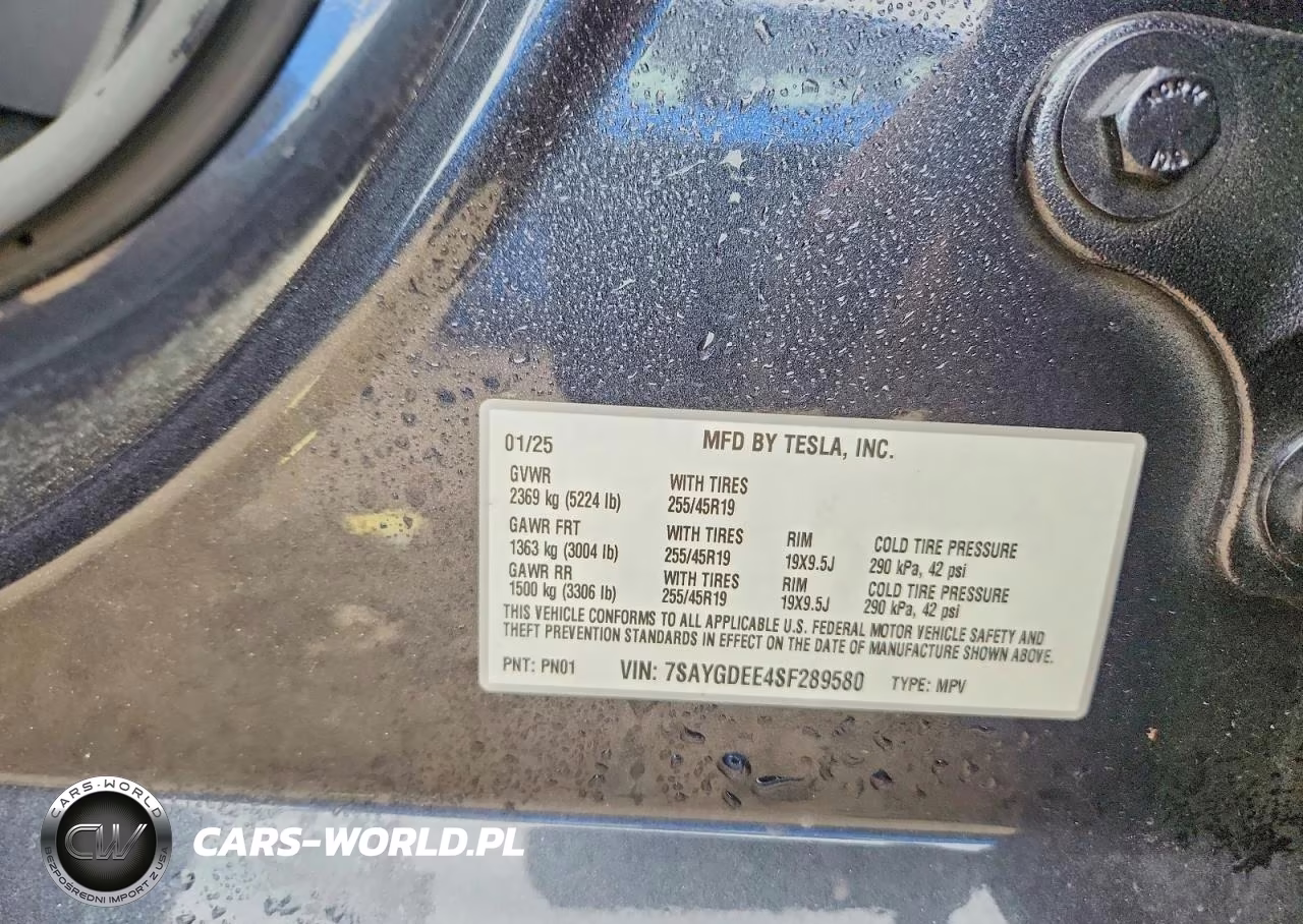 2025 Tesla Model Y VIN:7SAYGDEE4SF289580 - 12