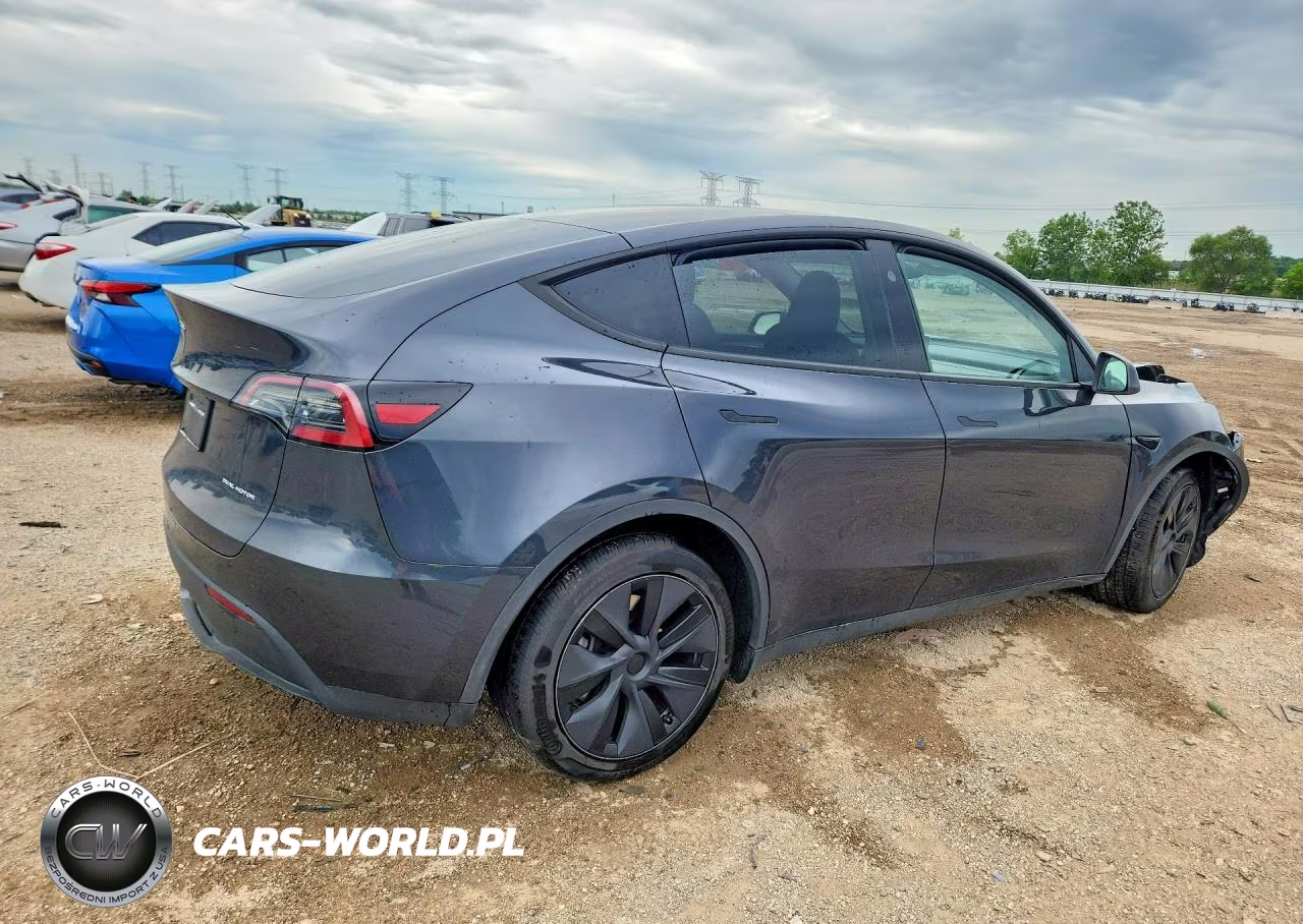 2025 Tesla Model Y VIN:7SAYGDEE4SF289580 - 3