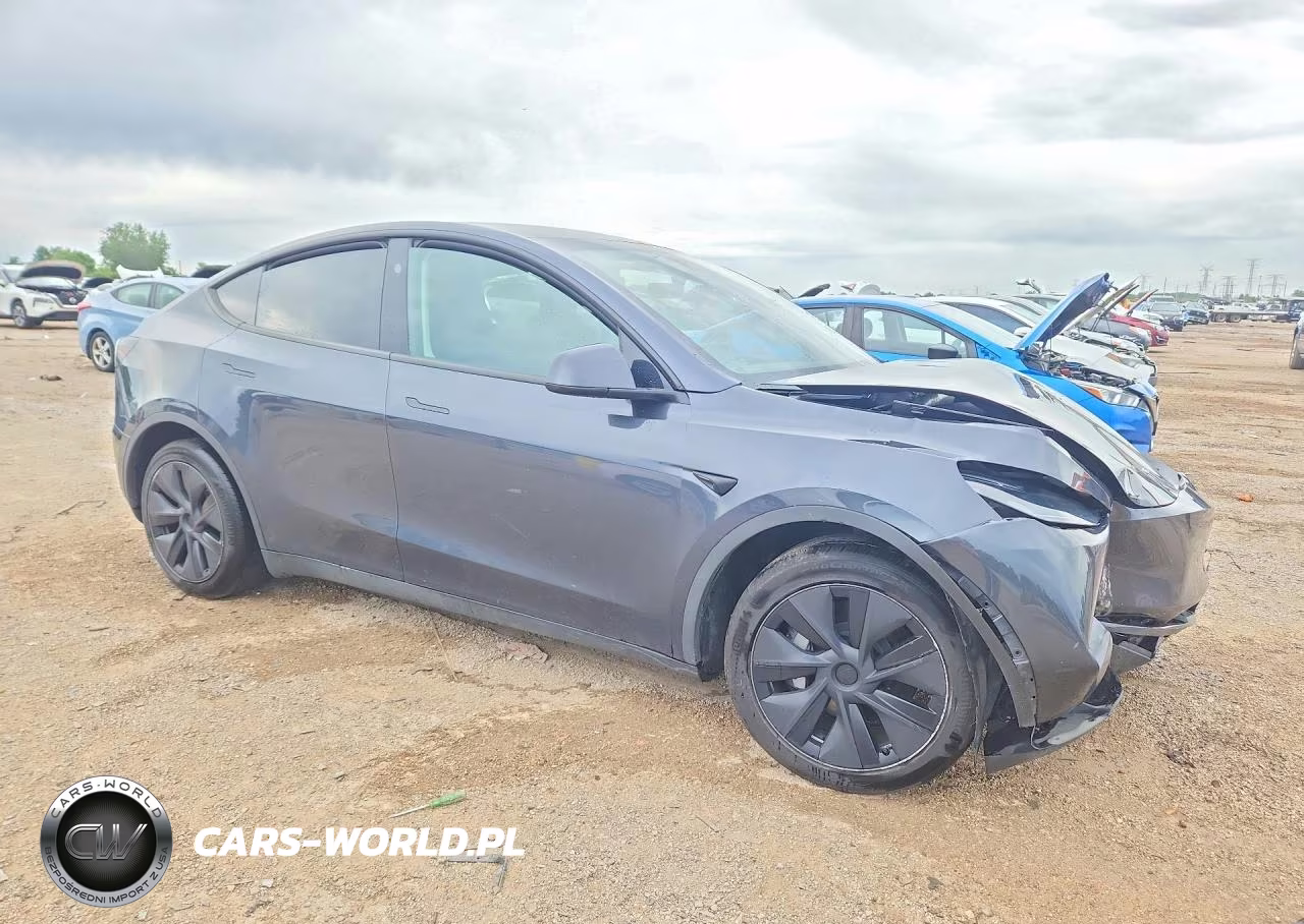 2025 Tesla Model Y VIN:7SAYGDEE4SF289580 - 4