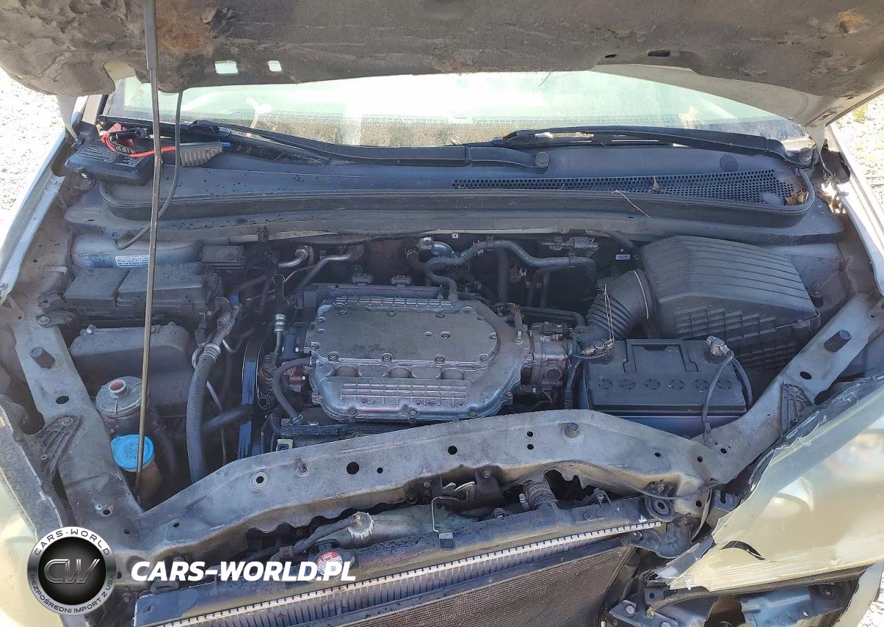 2005 Honda Oddesey VIN:5FNRL387X5B067411 - 12