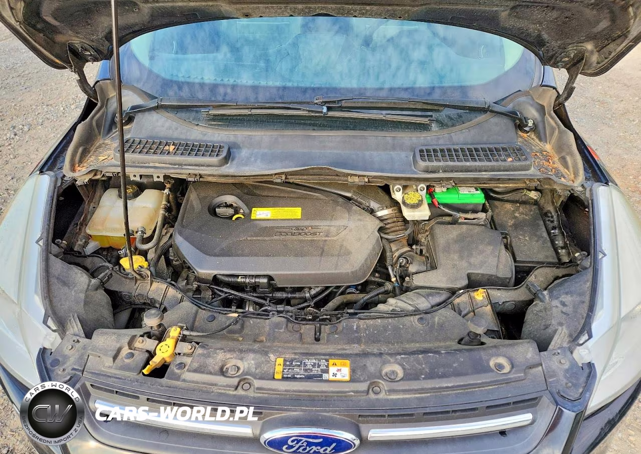 2014 Ford Escape Se VIN:1FMCU0GX9EUA09733 - 12