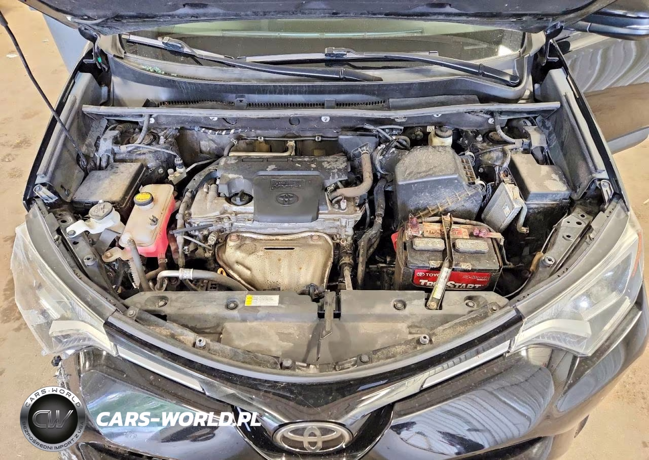 2017 Toyota Rav4 Xle VIN:2T3RFREV7HW675981 - 12