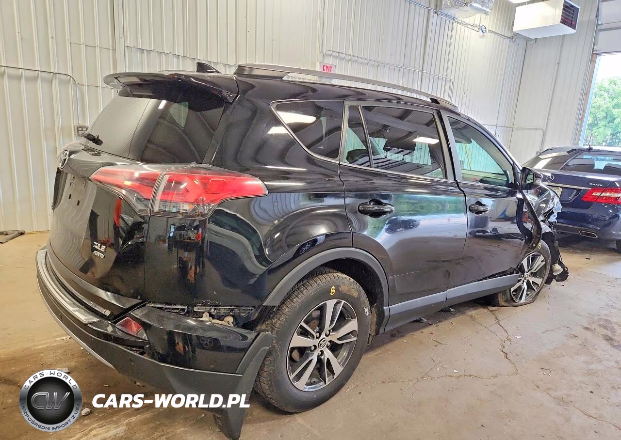 2017 Toyota Rav4 Xle VIN:2T3RFREV7HW675981 - 3