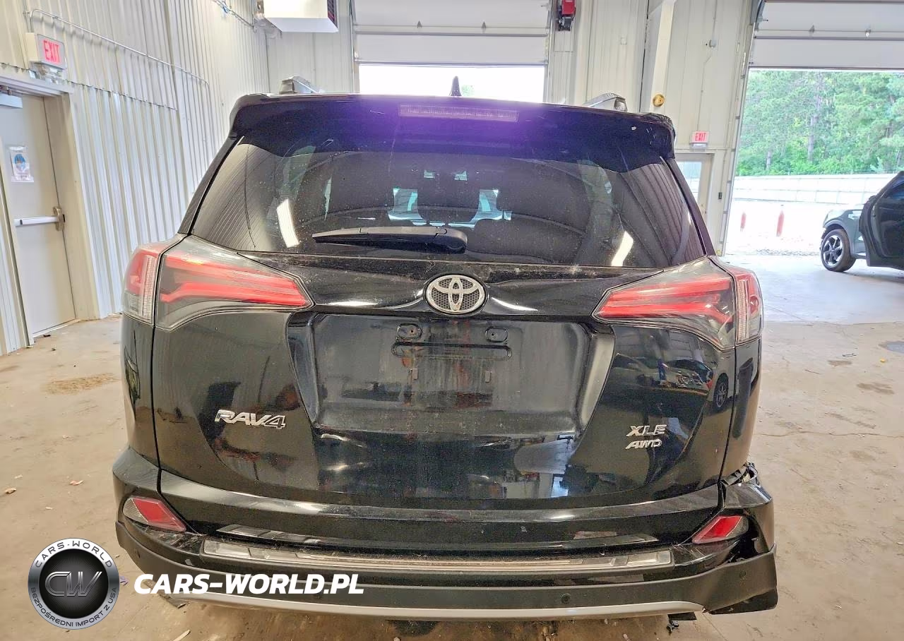 2017 Toyota Rav4 Xle VIN:2T3RFREV7HW675981 - 6