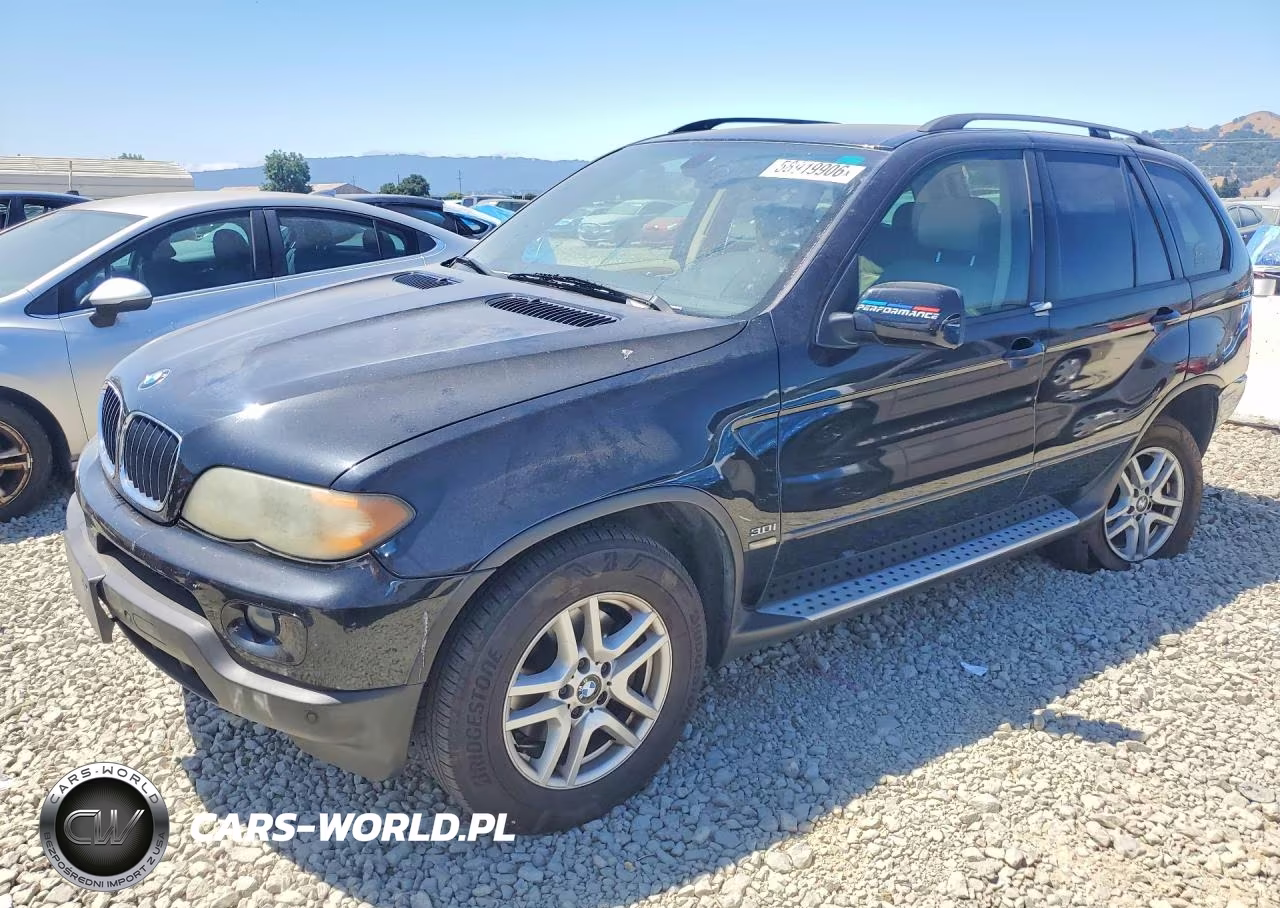 2006 BMW X5 3.0I – zdjęcie 1 z 13