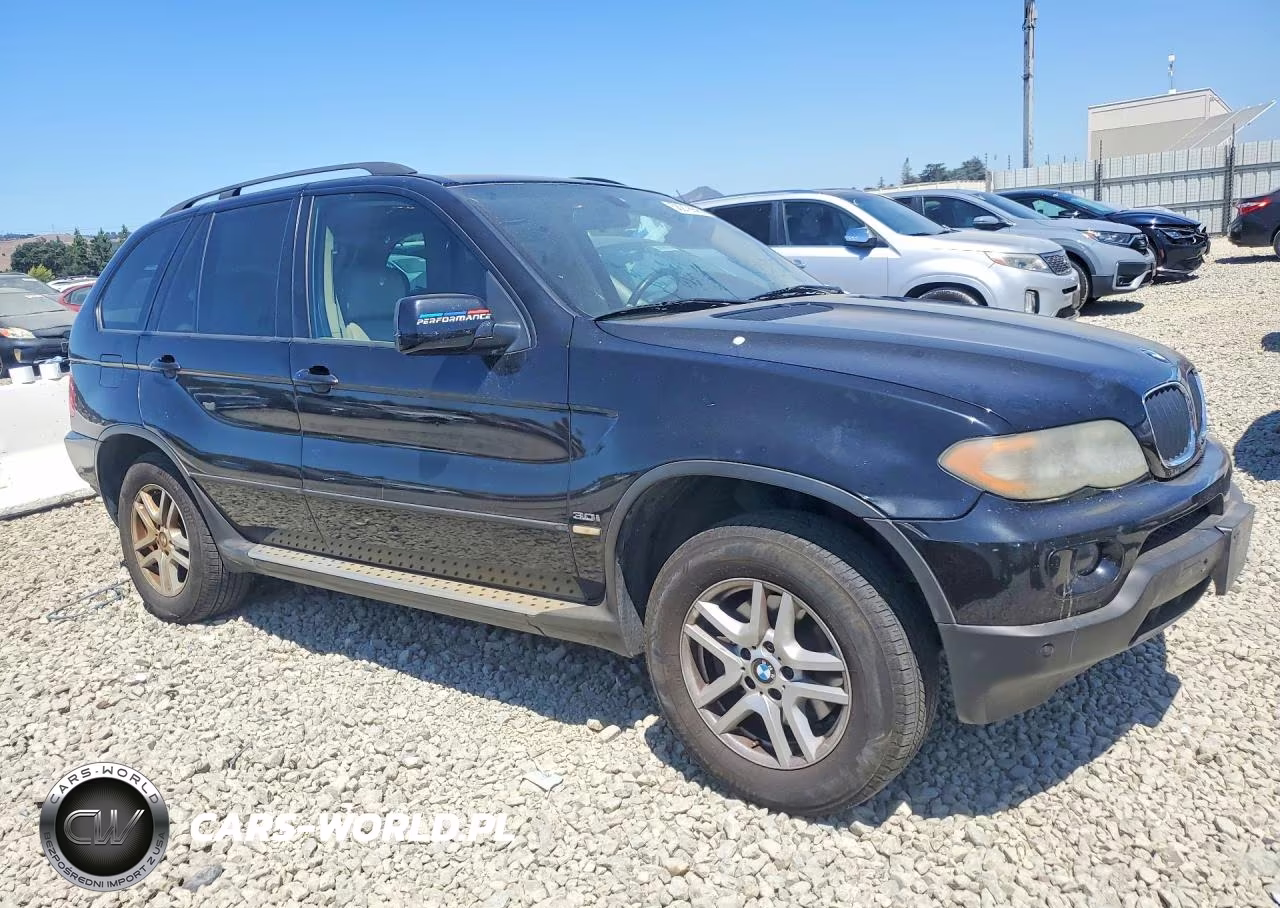 2006 BMW X5 3.0I VIN:5UXFA135X6LY31306 - 4