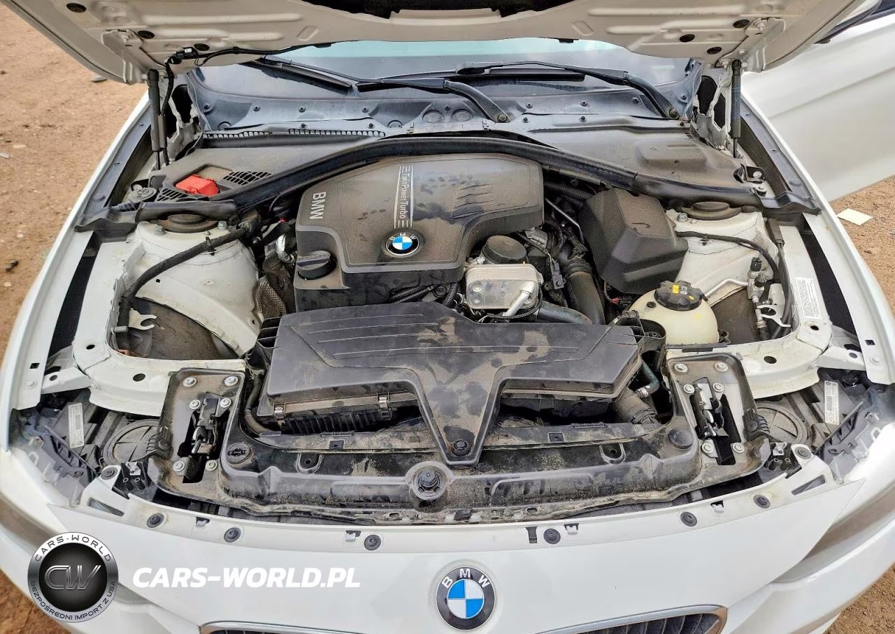 2014 BMW 320 I xDrive VIN:WBA3C3C5XEP661981 - 11