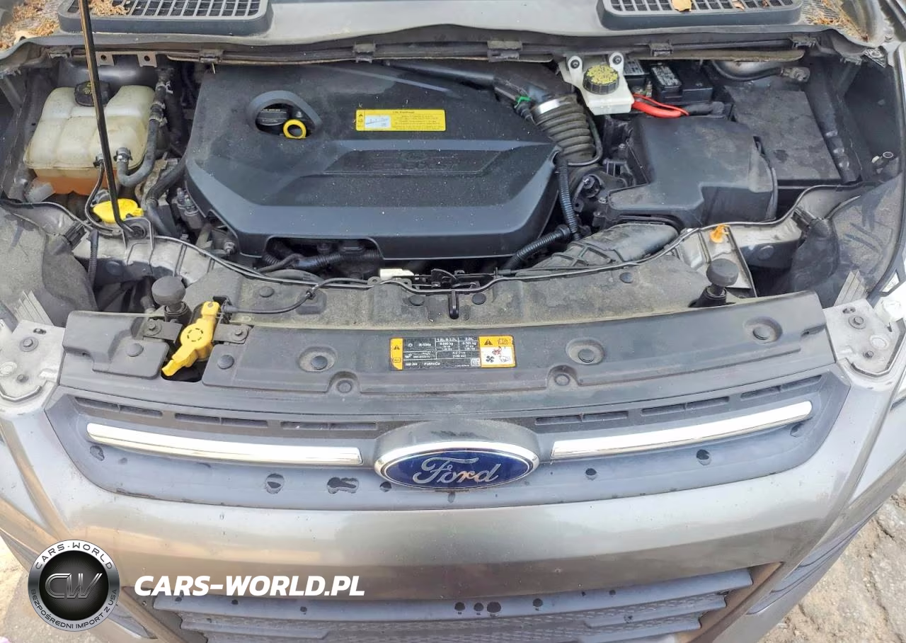 2014 Ford Escape Se VIN:1FMCU0GX1EUA23979 - 11