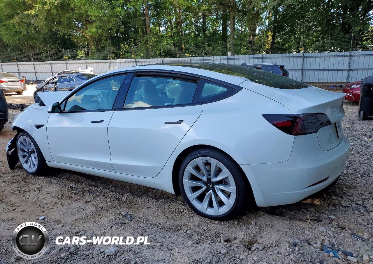 2023 Tesla Model 3 VIN:5YJ3E1EA1PF552592 - 2