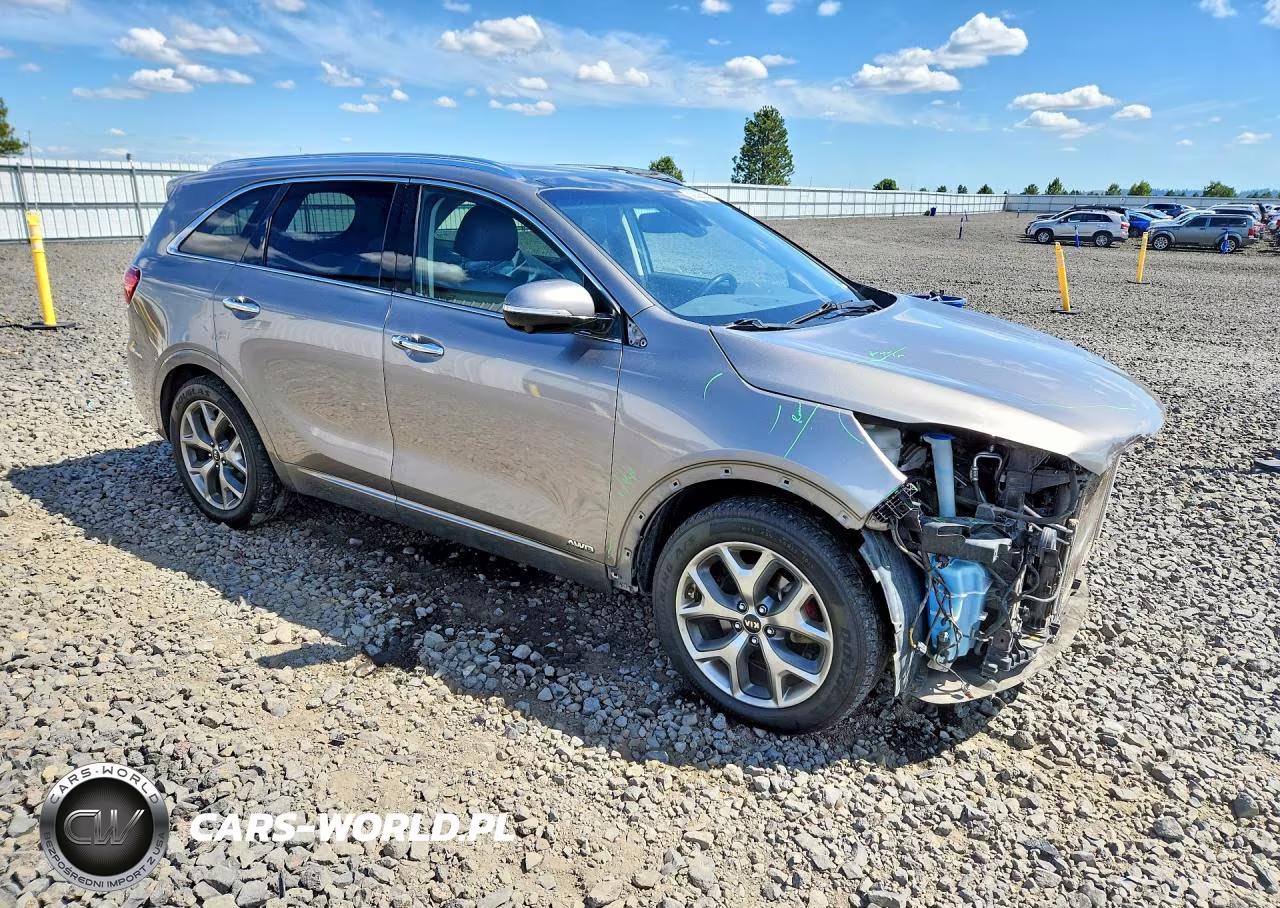 2019 Kia Sorento Sx V6 VIN:5XYPKDA55KG551497 - 4
