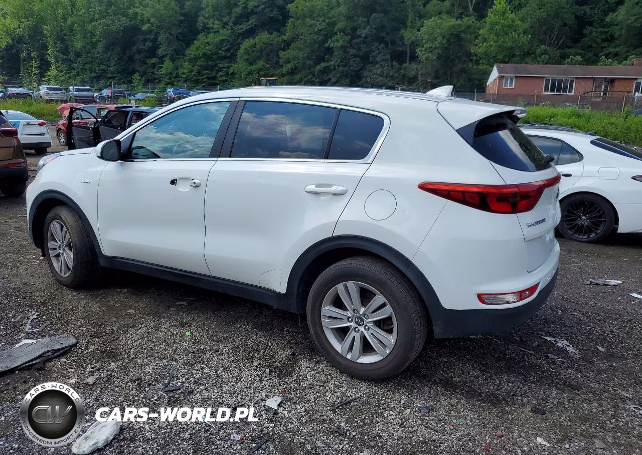 2019 Kia Sportage Lx VIN:KNDPMCAC2K7500040 - 2