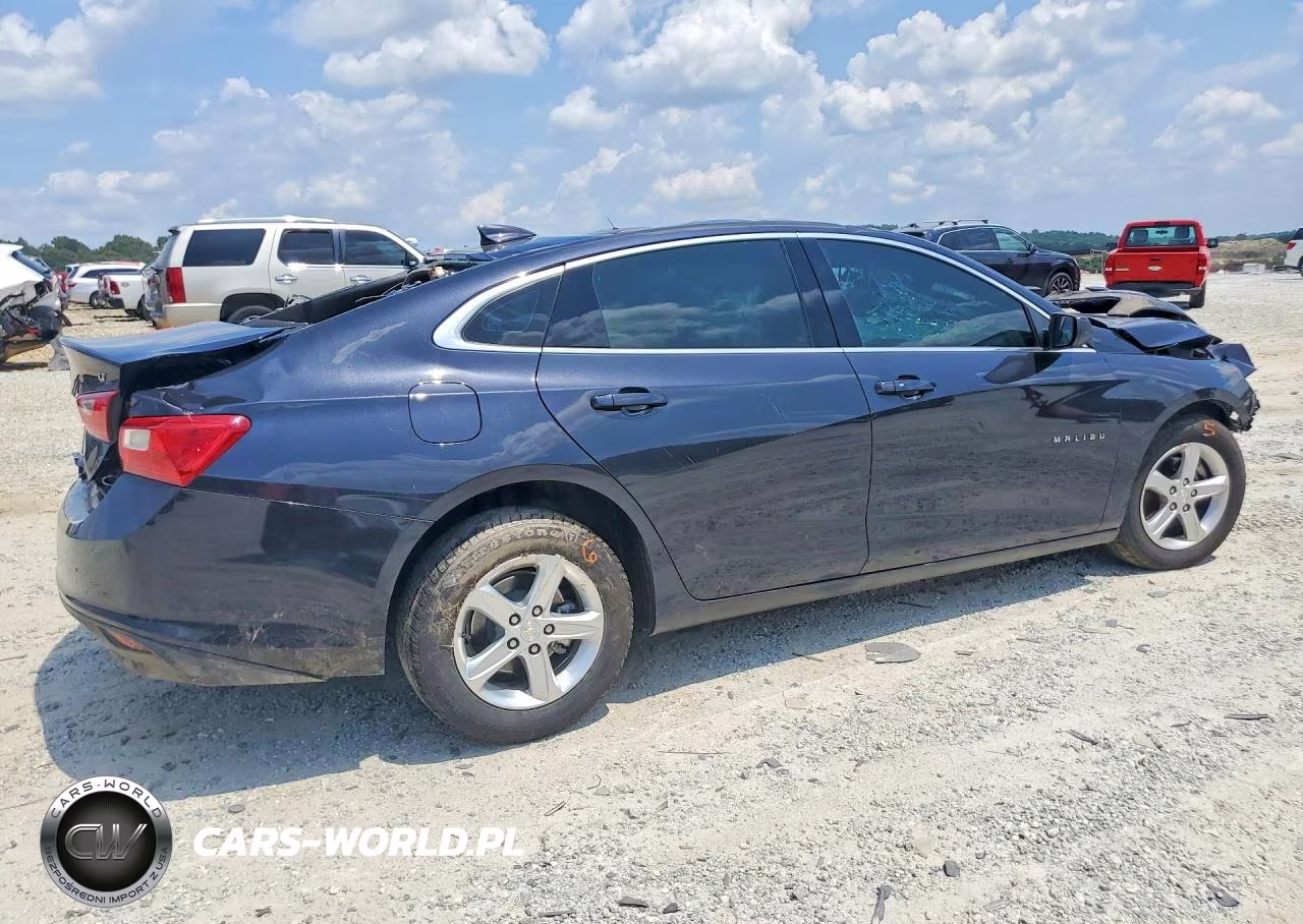 2023 Chevrolet Malibu Lt VIN:1G1ZD5ST0PF207830 - 3