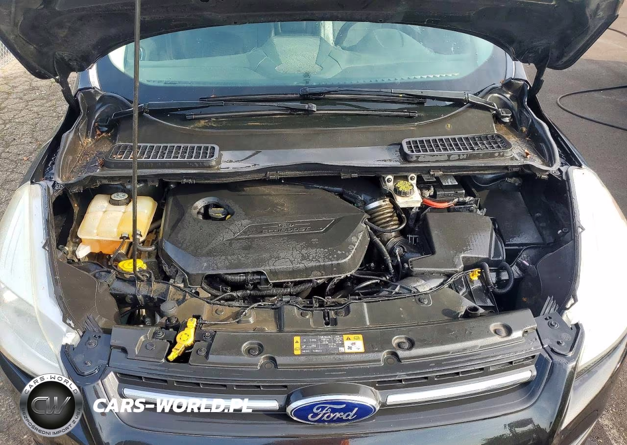 2014 Ford Escape Se VIN:1FMCU9GX0EUD61717 - 12