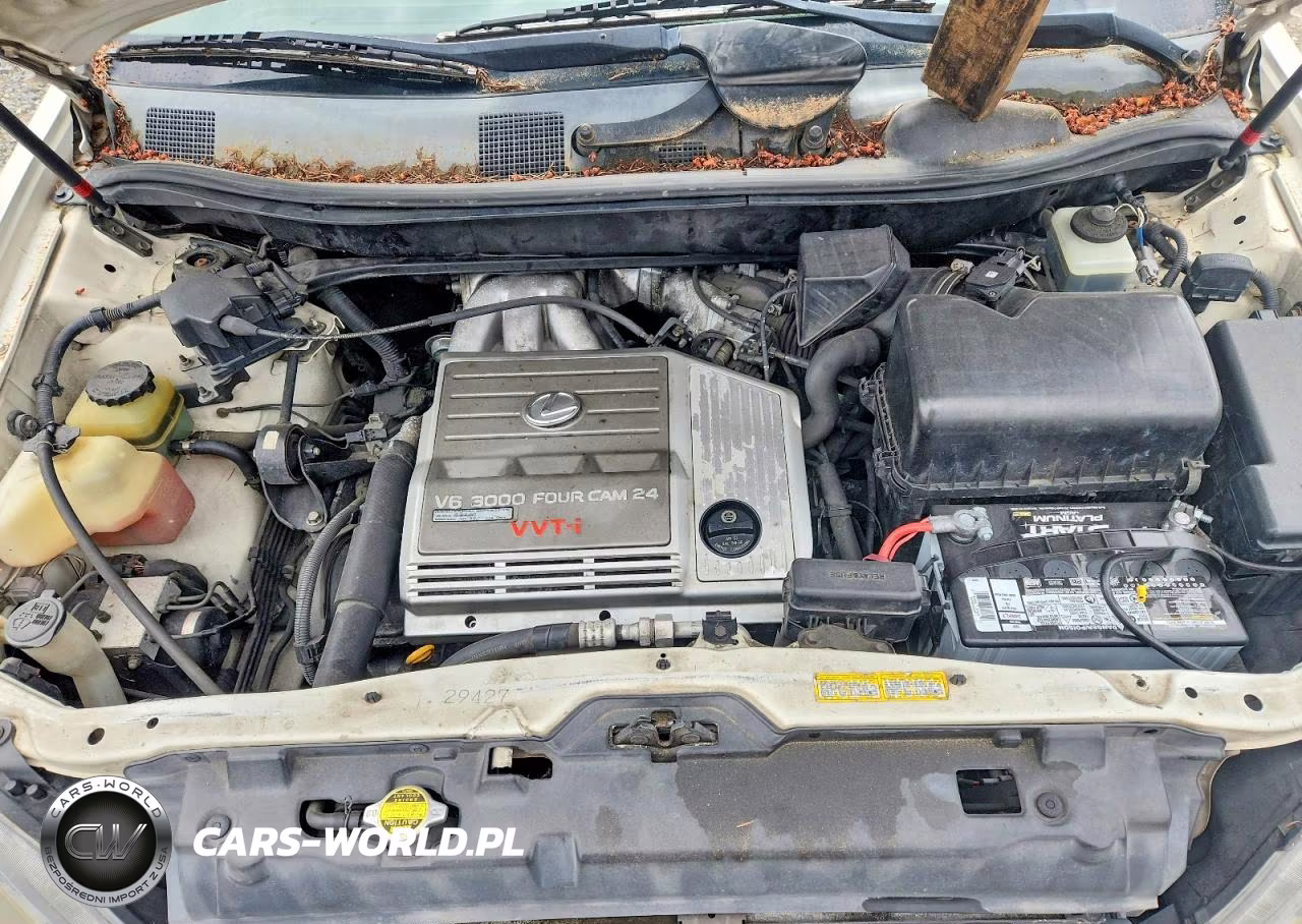2000 Lexus Rx 300 VIN:JT6GF10U2Y0059480 - 12