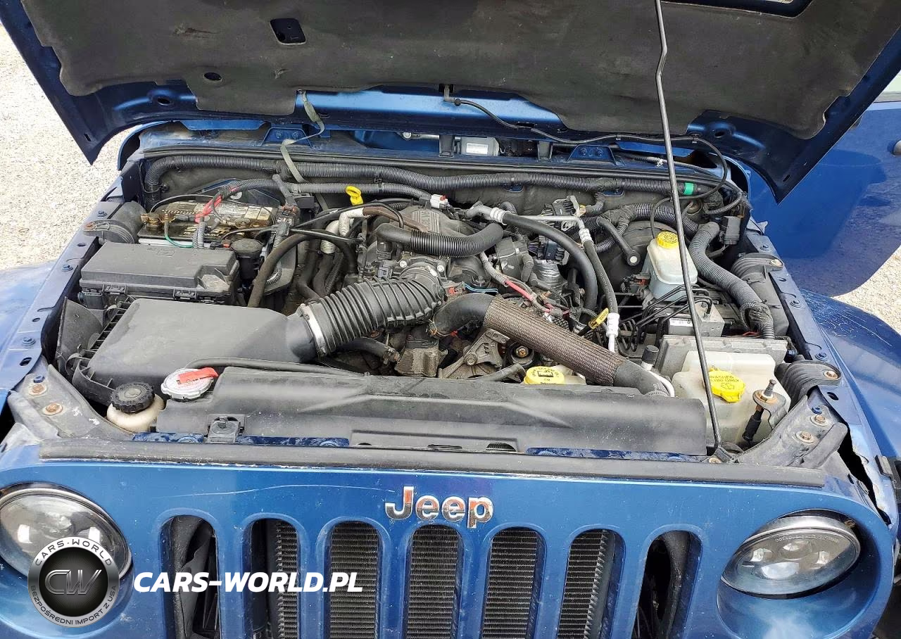 2010 Jeep Wrangler Unlimited Sahara VIN:1J4HA5H1XAL163761 - 12