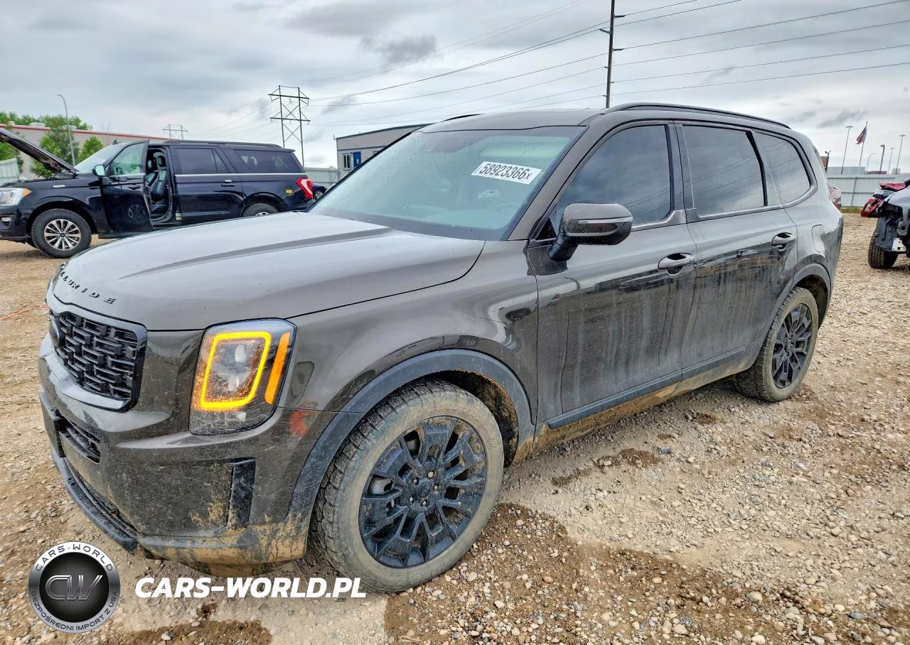 2021 Kia Telluride Ex VIN:5XYP3DHC5MG187005 - 1