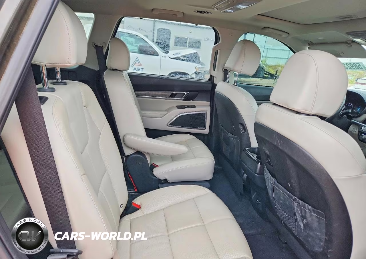 2021 Kia Telluride Ex VIN:5XYP3DHC5MG187005 - 10