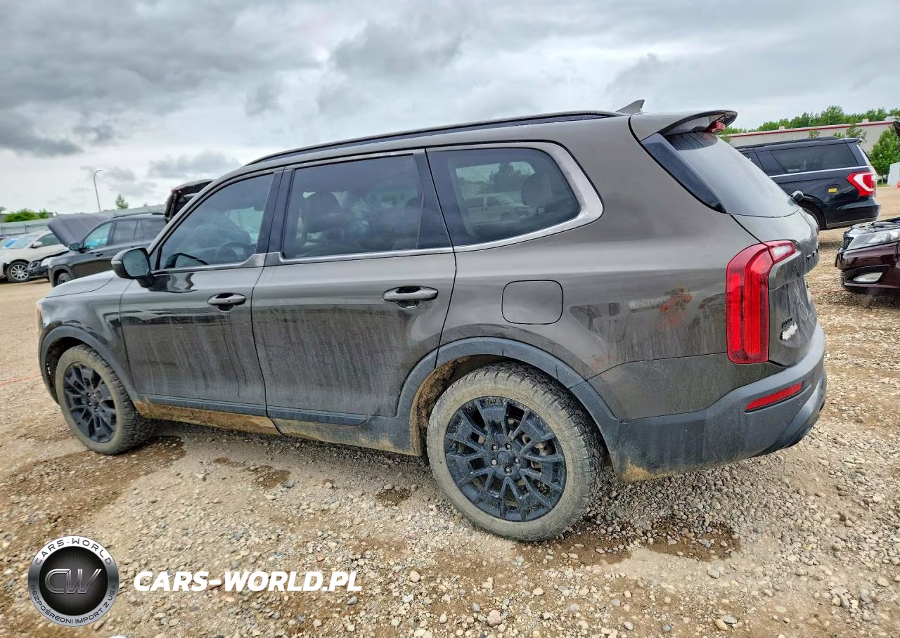 2021 Kia Telluride Ex VIN:5XYP3DHC5MG187005 - 2
