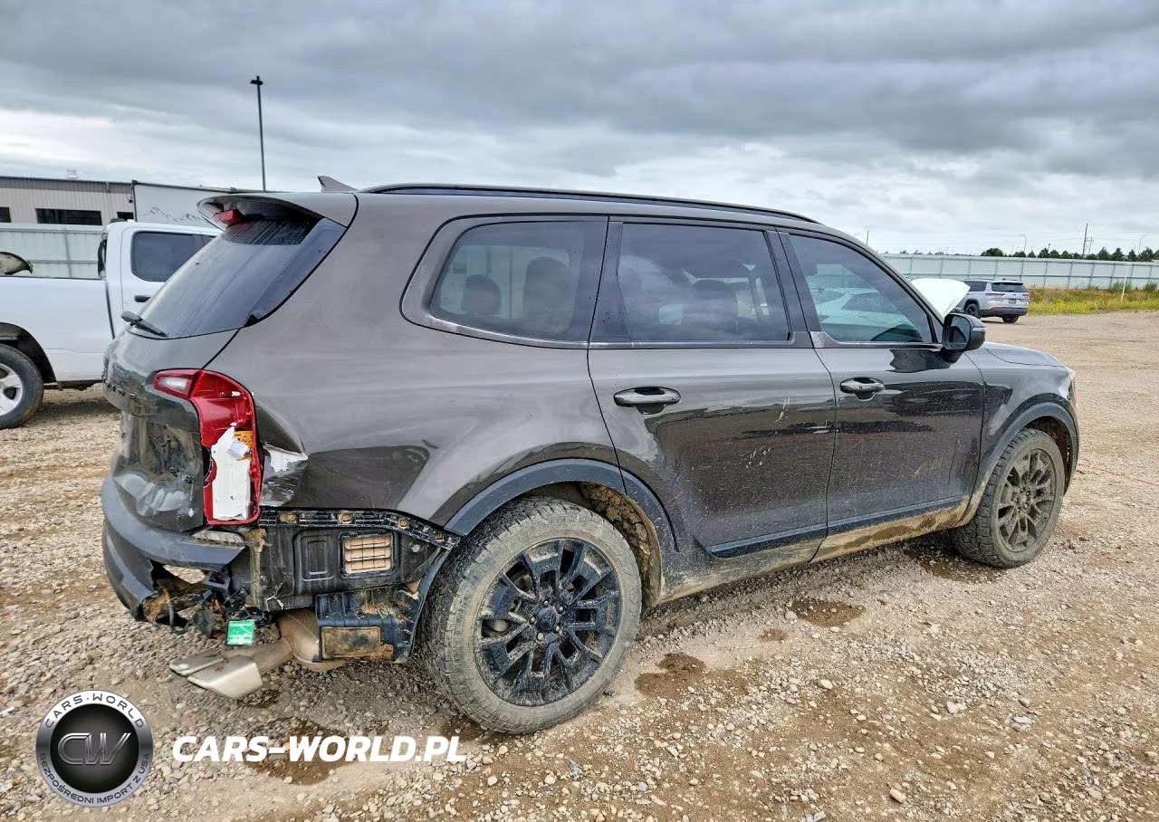 2021 Kia Telluride Ex VIN:5XYP3DHC5MG187005 - 3