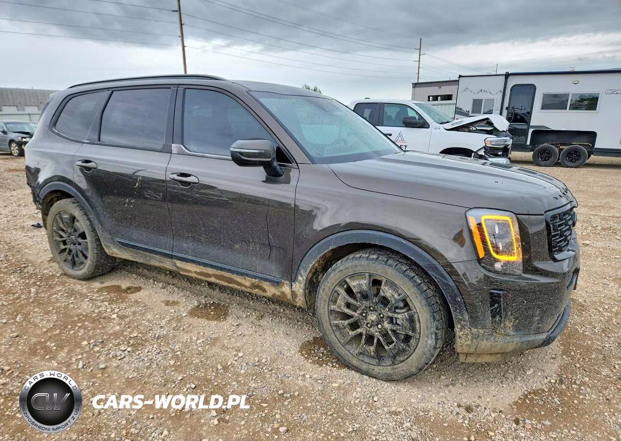 2021 Kia Telluride Ex VIN:5XYP3DHC5MG187005 - 4