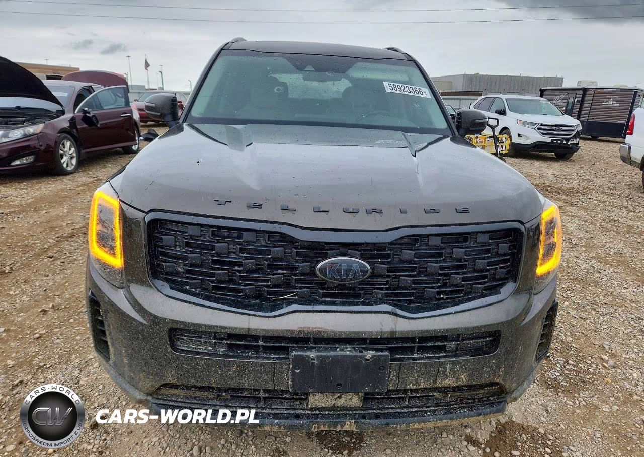 2021 Kia Telluride Ex VIN:5XYP3DHC5MG187005 - 5