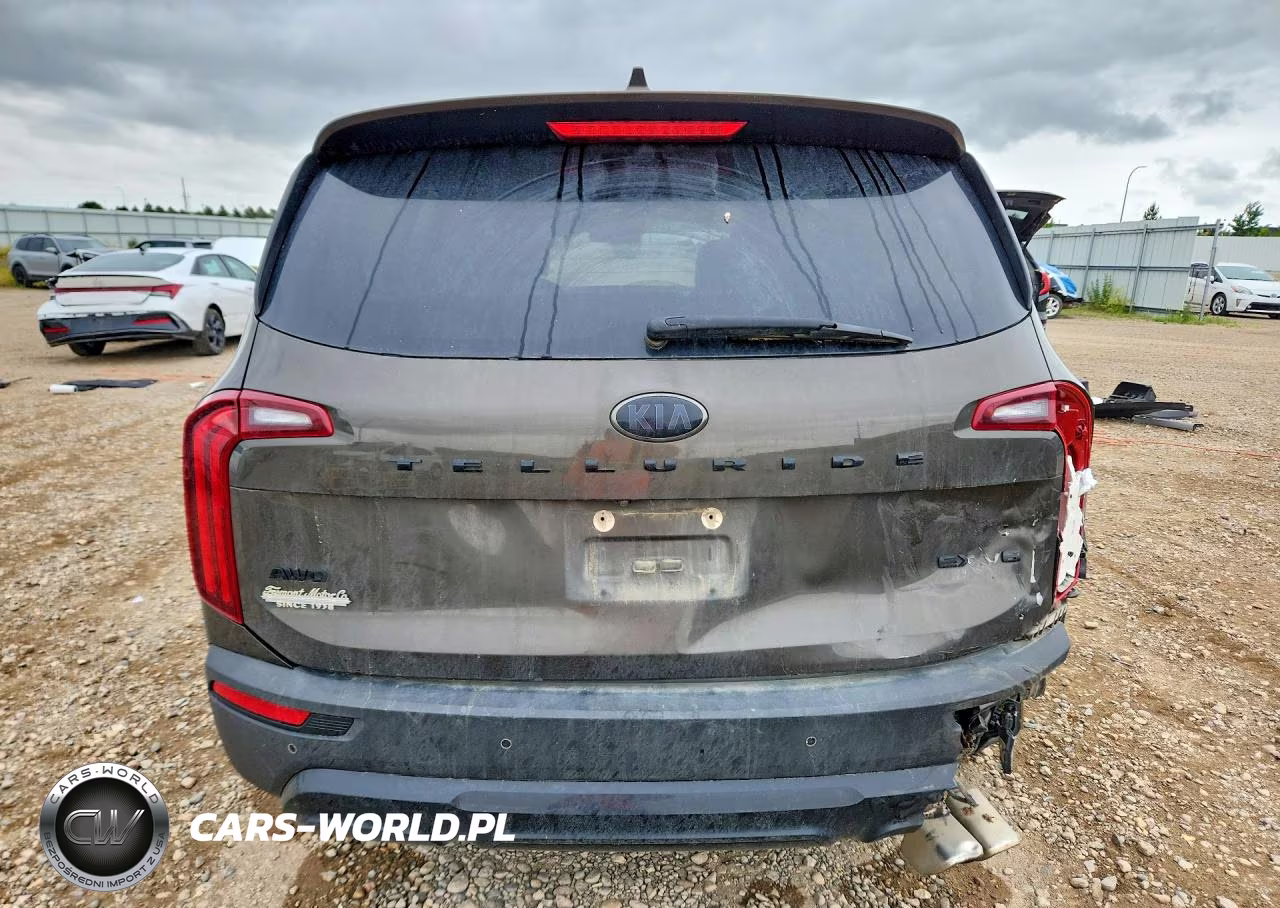 2021 Kia Telluride Ex VIN:5XYP3DHC5MG187005 - 6