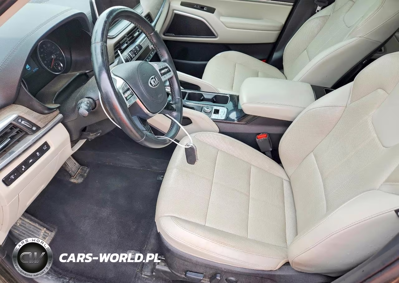 2021 Kia Telluride Ex VIN:5XYP3DHC5MG187005 - 7
