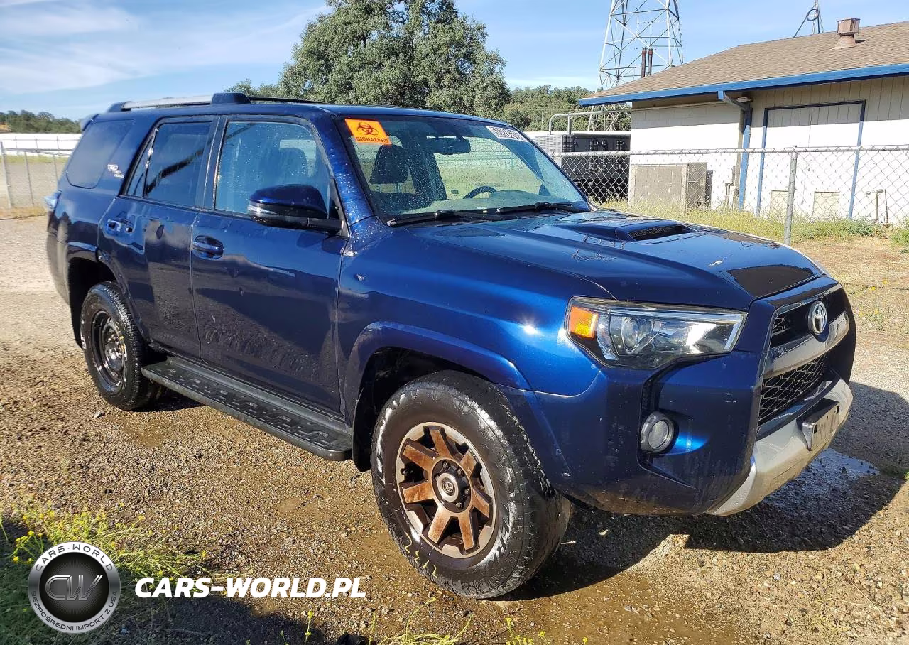 2017 Toyota 4Runner Trd Off-Road Premium VIN:JTEBU5JR4H5433340 - 4