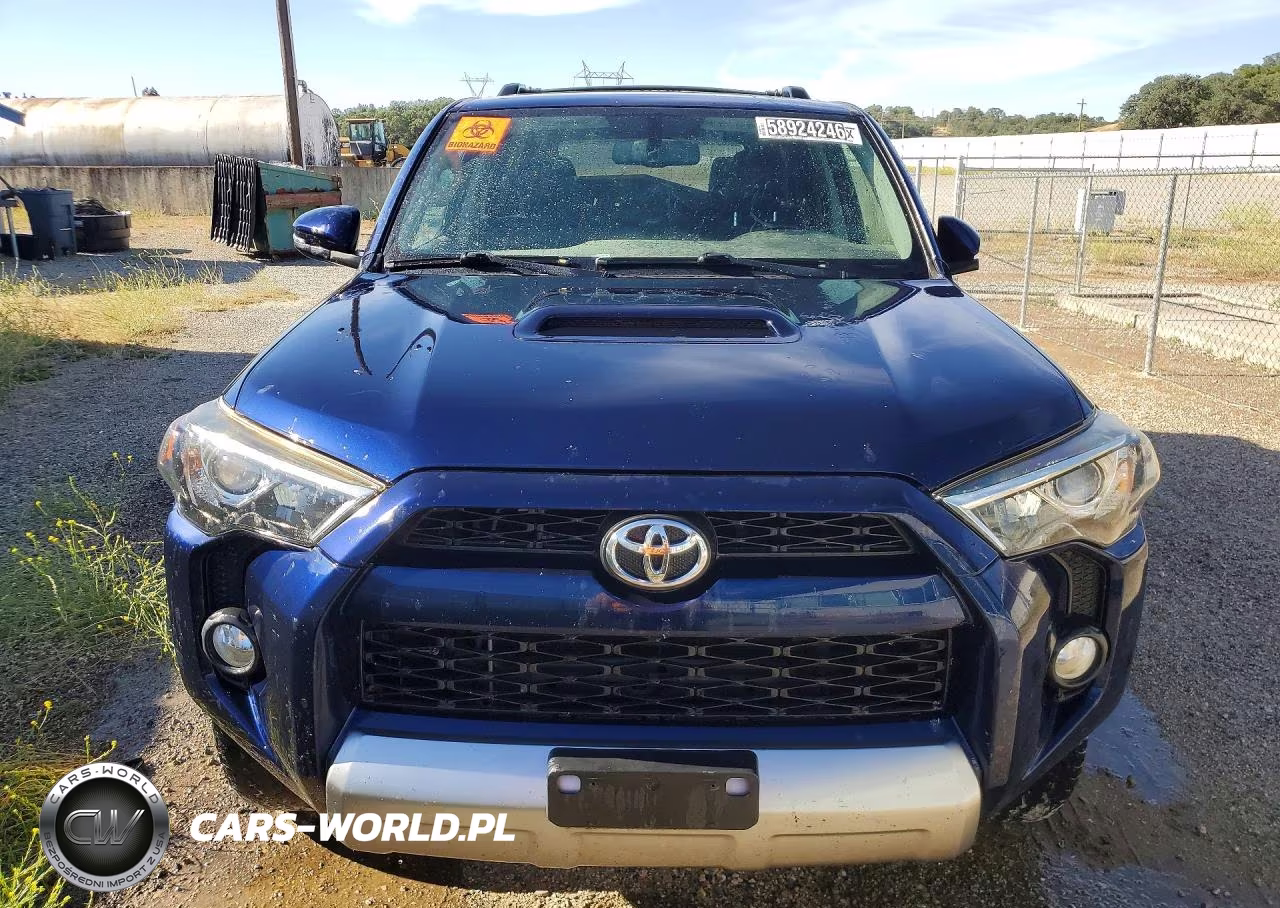 2017 Toyota 4Runner Trd Off-Road Premium VIN:JTEBU5JR4H5433340 - 5