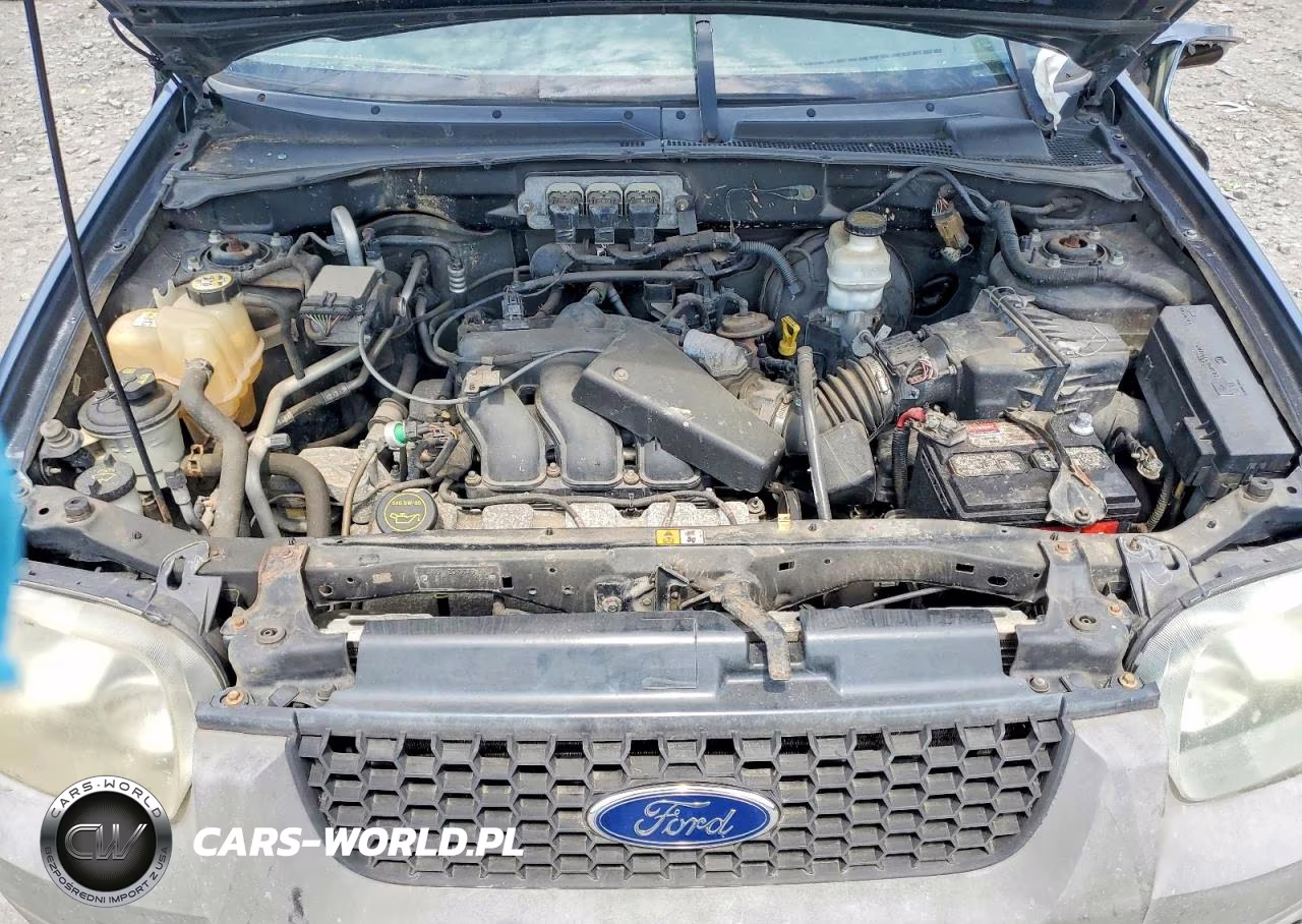 2005 Ford Escape Xlt VIN:1FMYU93105KE40517 - 12