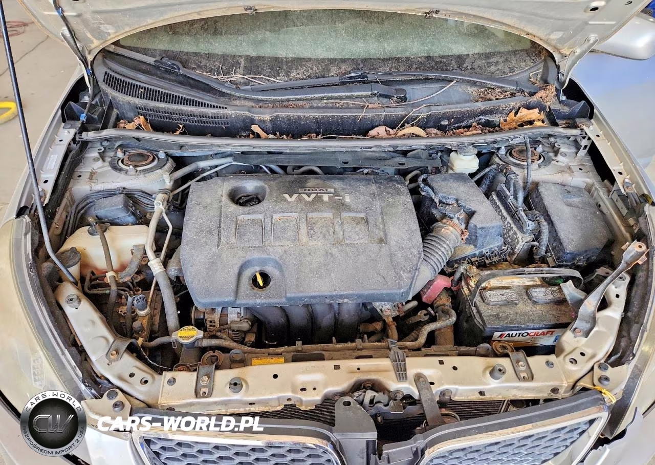 2009 Pontiac Vibe VIN:5Y2SP67889Z419645 - 12
